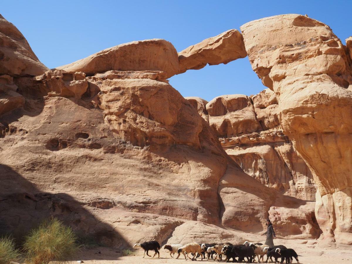 וואדי רם Martian Desert Camp מראה חיצוני תמונה